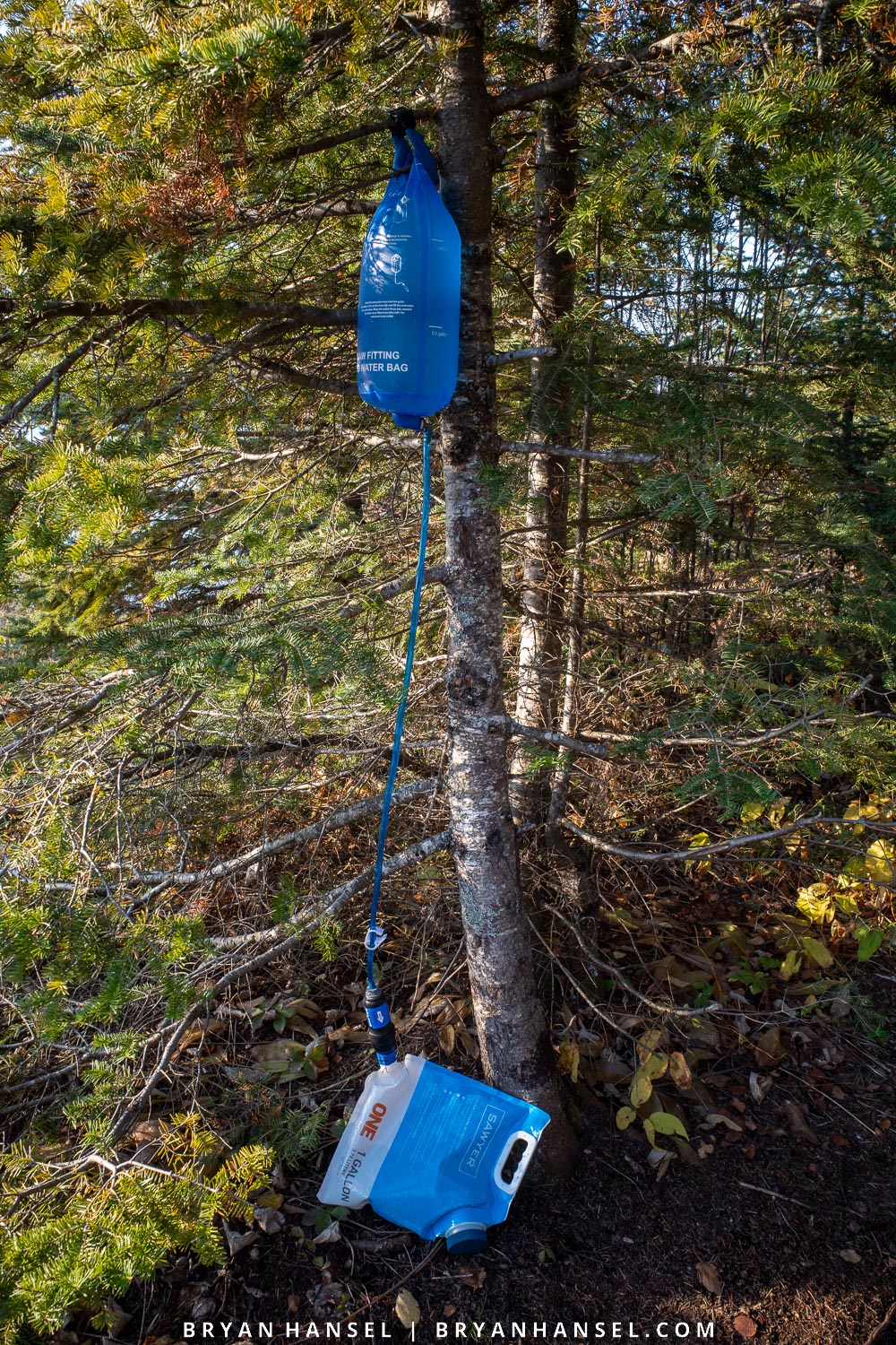 DIY Sawyer Gravity Filter hanging in a fir tree. Clean water bag on the ground.