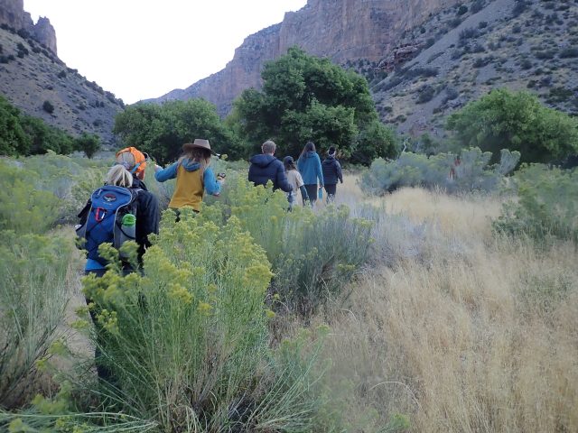 Canyon hike line early morning